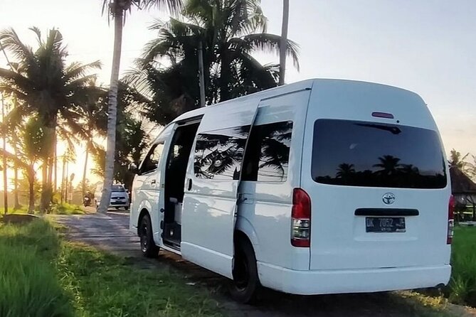 Bali Private Car Service with English Speaking Driver - Ubud-style culture day: rice terraces and swing-and-temple energy