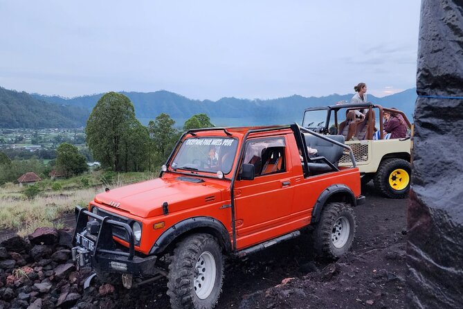 Bali Private Custom Tour - Should You Book This Custom Bali Private Tour?