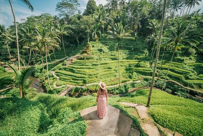 Bali Private Driver - Bali customized private tour - Car Comfort and Group Size: A Practical Reality Check