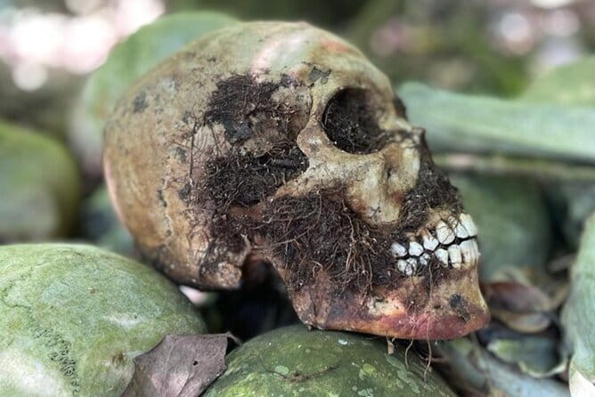 Bali Private Mystic Death Tour In Trunyan - Ubud Pickup, Road Time, and How to Plan Your Day (6 to 8 Hours)