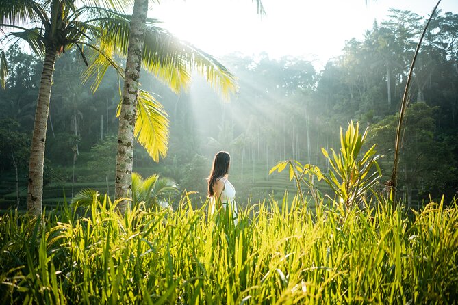 Bali Private Photographer & Drone - A 2-hour private Ubud photo shoot with drone video