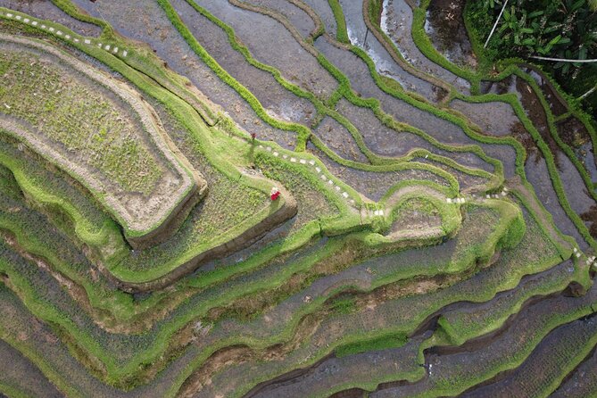 Bali Private Photographer & Drone - Drone shots in Ubud: what you get, and what can limit it