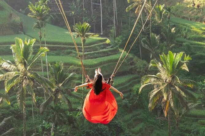 Bali private Shore Excursion from Benoa Port - All Inclusive - Tegalalang Rice Terrace in Ubud: famous views, real stairs