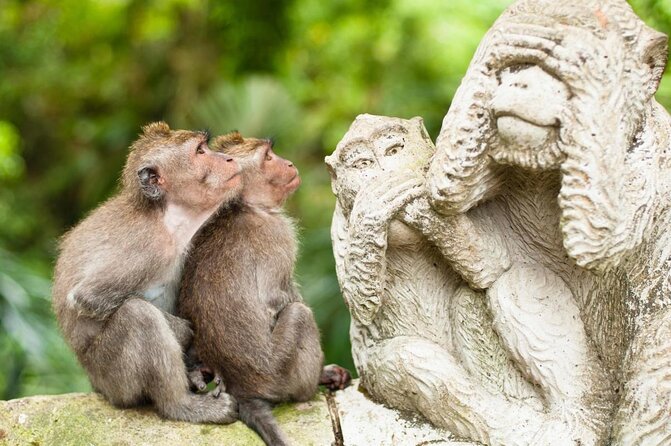 Bali Private Tour - Best of Ubud - All Inclusive - Key things to know before you go