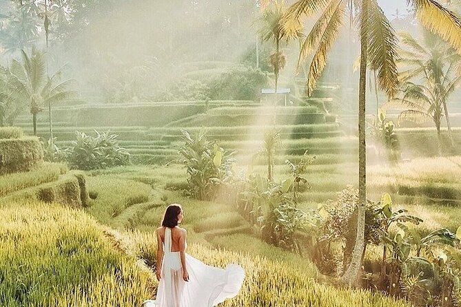 Bali Private Tour - Best of Ubud - All Inclusive - A private, all-day Ubud route that keeps you moving