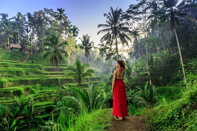 Bali Private Tour - Best of Ubud - All Inclusive - Tegalalang Rice Terrace: hillside farming views in about an hour