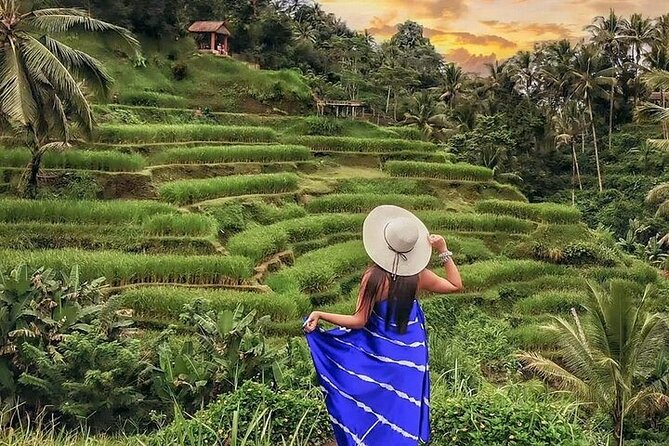 Bali Private Tour - Best of Ubud - All Inclusive - Tirta Empul Temple: the story behind the water temple stop