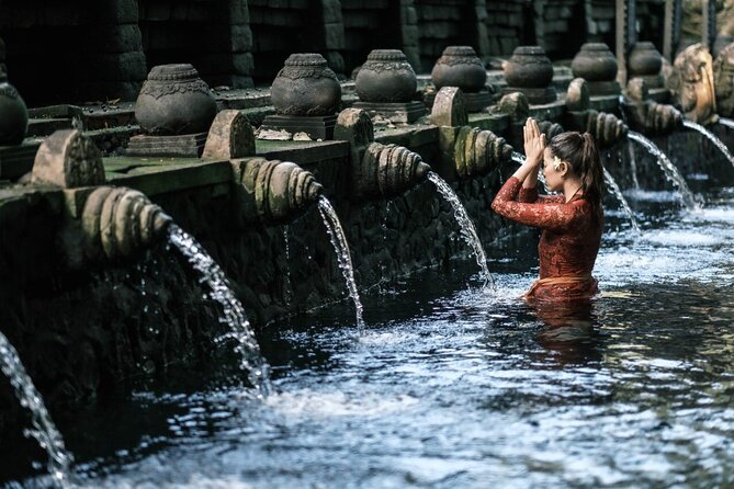 Bali Private Tour - Best of Ubud - All Inclusive - English-speaking driver and customization without chaos