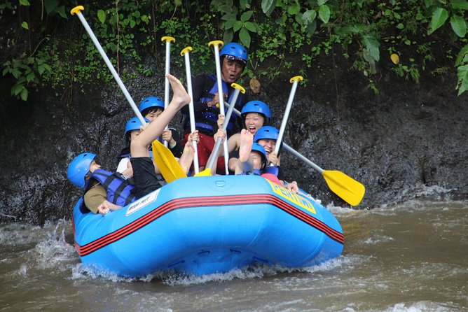 Bali Private Tour Guide And Driver - A Family Village Visit: The Part That Feels Like Bali, Not Tourism