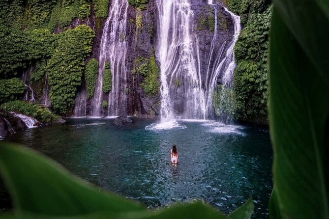 Bali Private Tour: Handara Iconic Gate, Watefall and Temple - Key highlights you’ll feel right away