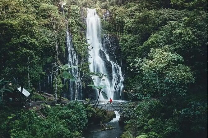Bali Private Tour: Handara Iconic Gate, Watefall and Temple - Guides make the difference: names you can look for
