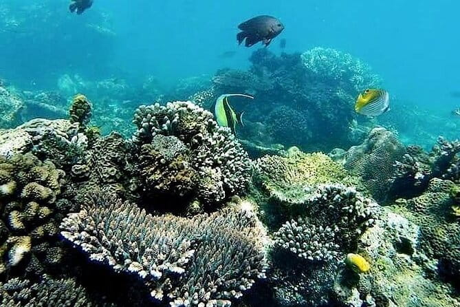 Bali Private Tour: Waterfall, Monkey forest and Tanah lot sunset - Price and logistics: what $56 really buys you in Bali