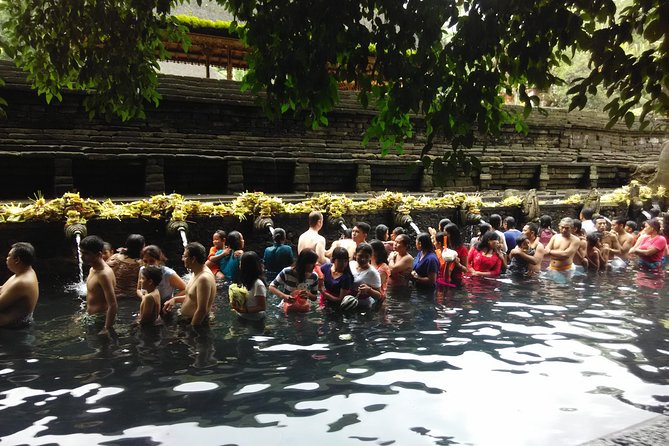 Bali Purification Ritual - Price and Value: Is $65 Fair for This Ritual Experience?