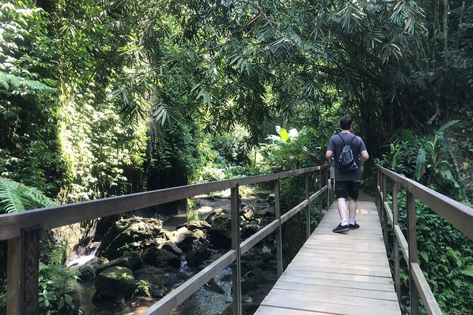 Bali Quad Adventure with Waterfall Tour - What You Pay For, and What Costs Extra