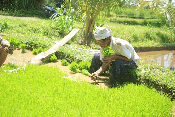 Bali Quad and Buggy Discovery Tour, Including Round-Trip Transfer - What to Pack for Bali Mud: Shoes, Sunscreen, Sunglasses, and a Backup Outfit