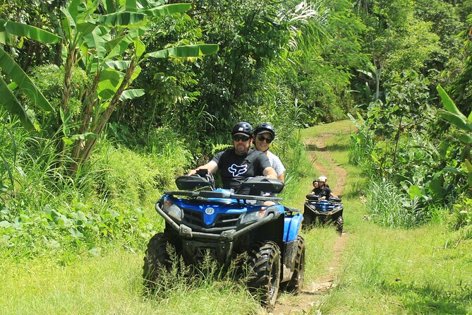 Bali Quad and Buggy Explorer Tour - Ubud Quad or Buggy in About 90 Minutes: What This Tour Feels Like