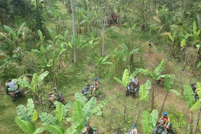Bali Quad bike ATV passing through Waterfall, Cave & Rice fields - Lunch, Shower, and Changing Time, Then Back to Your Hotel