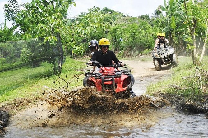 Bali Quad Bike Through Gorilla Cave - Monkey Forest and Waterfall - Guides bring the real Bali flavor, not just a checklist