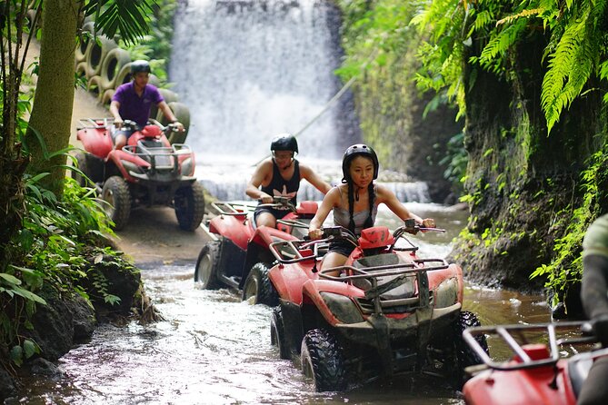 Bali Quad Bike Through Gorilla Cave - Monkey Forest and Waterfall - The quad bike ride: jungle tracks, rivers, and the gorilla face cave