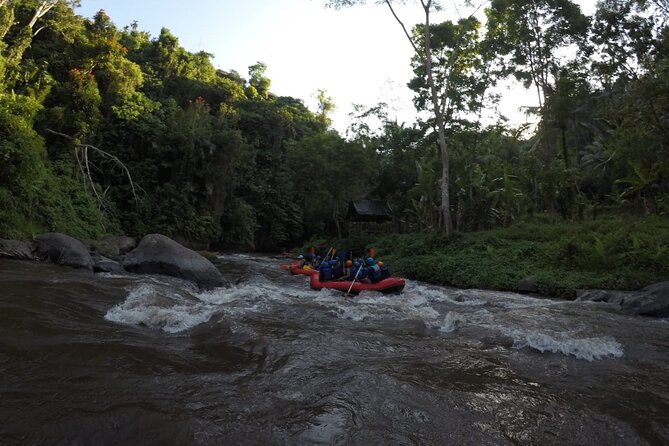 Bali Rafting - Price and Value: Why $24.45 Can Make Sense Here
