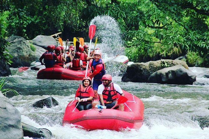 Bali Rafting Including Lunch and Transport - Price and value: what about $22 gets you