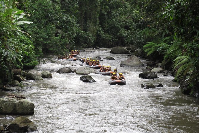 Bali Rafting Ubud with Lunch - The river route: cliffs, rice views, forest, and waterfalls
