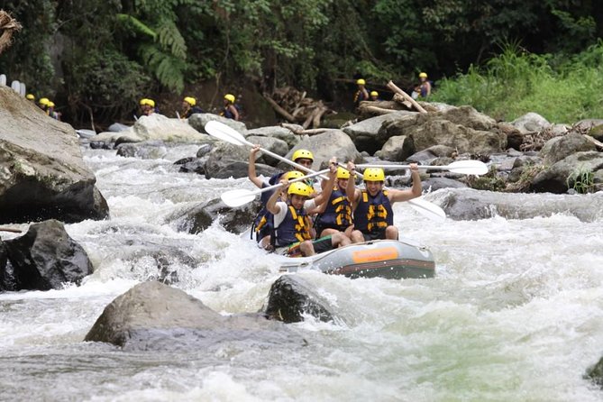 Bali Rafting Ubud with Lunch - Lunch after rafting: Indonesian buffet with rice terraces