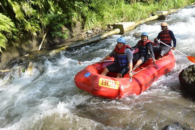 Bali Rafting - Two Hours on the Ayung: Class II-III Rapids You Can Actually Do