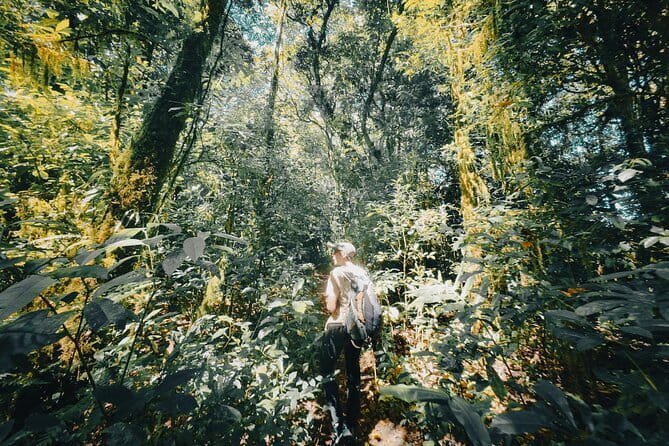Bali Rainforest Hiking With Canoeing And Waterfall Adventure - Key highlights you will care about