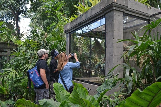 Bali Reptile Park Entrance Ticket - Hands-on holding, petting, and the rules of the moment