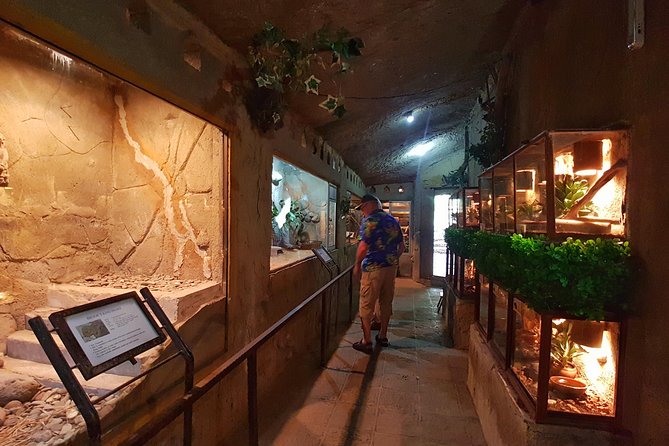Bali Reptile Park Entrance Ticket - Guides like Widya and Rama, and how to use them well