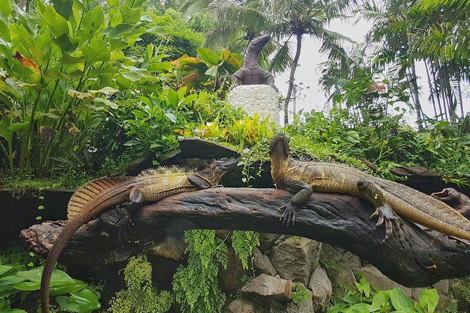 Bali Reptile Park Entrance Ticket - The reptile show and feeding moments
