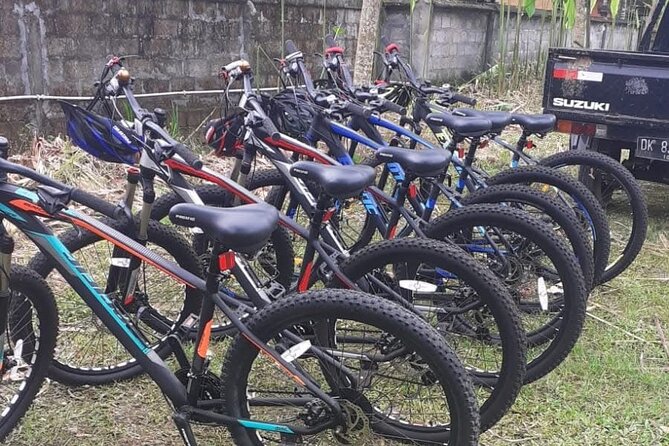 Bali Rural Village Bike - Price and value: what $41 buys you in rural Bali