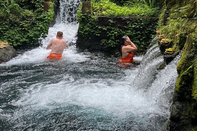 Bali Samanic Healing Purification Natural - Key highlights at a glance