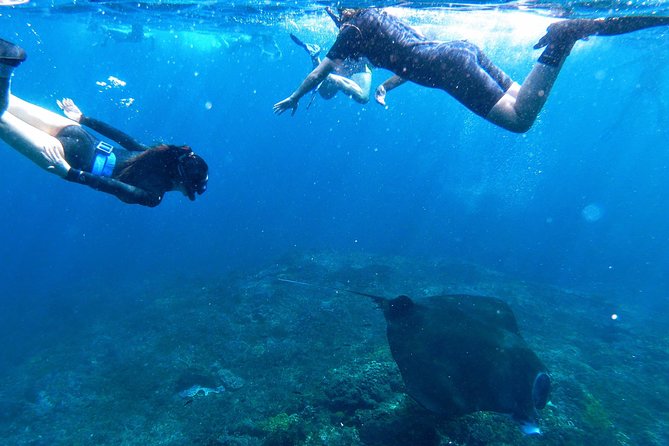 Bali Scuba Diving at Nusa Penida Manta Point For Certified Diver - Currents and sea sickness: the two comfort issues to plan for