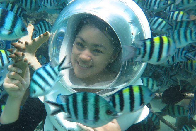 Bali Sea Walker - What You Actually See: A 25-Minute Walk on the Ocean Floor
