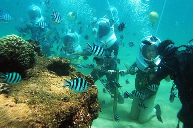 Bali Sea Walker - Who This Fits Best (and Who Might Feel Underwhelmed)