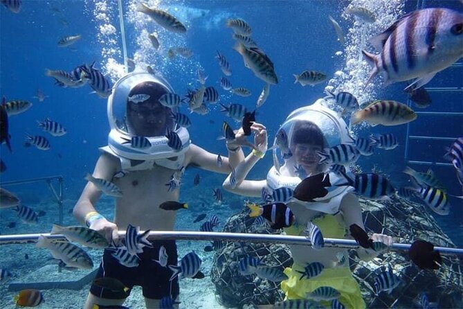 Bali Sea Walker Under Water Experience With Hotel Transfer - Your guided route: coral gardens, fish spotting, and possible hand feeding