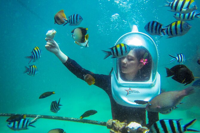 Bali Sea Walker Under Water Experience With Hotel Transfer - Price and value: is $32.50 worth it in Nusa Dua?