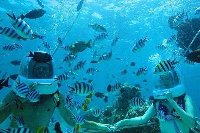 Bali Sea Walker Under Water Experience With Hotel Transfer - Who should book Sea Walker, and who should think twice