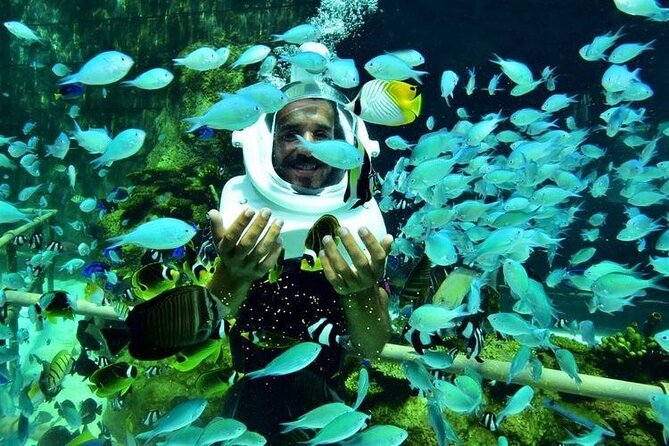 Bali Sea Walker Under Water Experience With Hotel Transfer - Practical tips to make your 30 minutes count