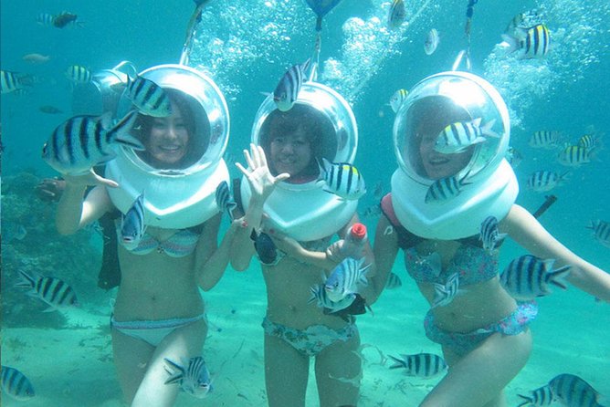 Bali Sea Walking Experience - Key Highlights to Know Before You Book