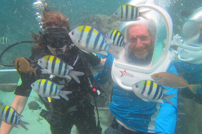 Bali Sea Walking Experience - The Step-by-Step Ocean Walk, From Stairs to Fish