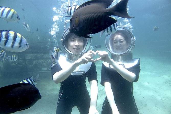 Bali Seawalker - Bali Seawalker at Tanjung Benoa, What You See Without Scuba