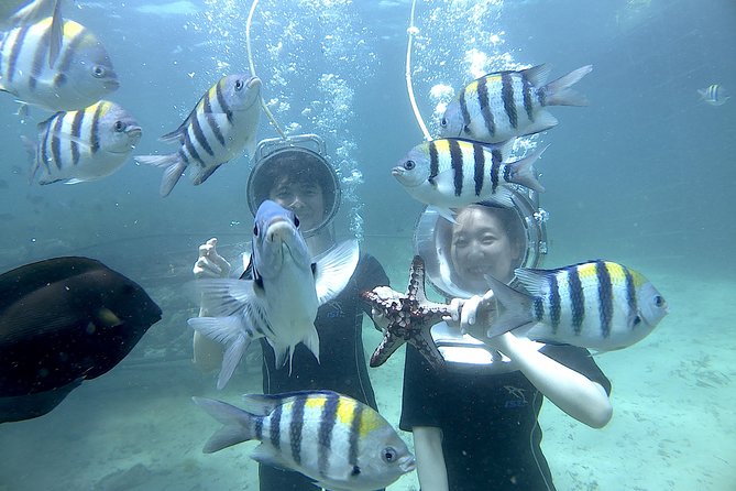 Bali Seawalker - Your Rough 1.5 Hour Plan, From Smart Bali Tour to Back at Your Hotel