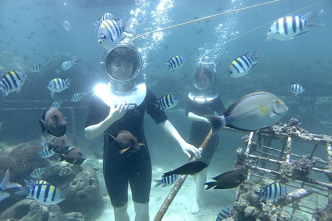 Bali Seawalker - Reef Viewing in Nusa Dua, Fish, Coral, and Photo Reality