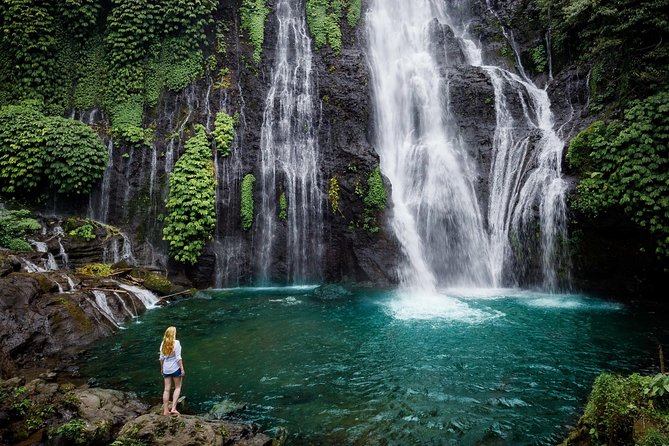 Bali Secret Waterfall Tour - Private and All-Inclusive - The drive breaks: Jatiluwih, Ulun Danu Beratan, Ubud, and Monkey Forest