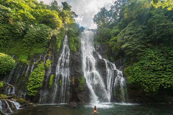 Bali Secret Waterfall Tour - Private and All-Inclusive - Lunch that earns its place in the itinerary