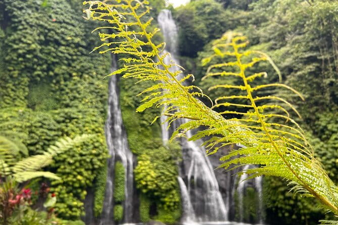 Bali Secret Waterfalls: Banyumala & Leke Leke Waterfalls - Price and logistics, where the $55 goes