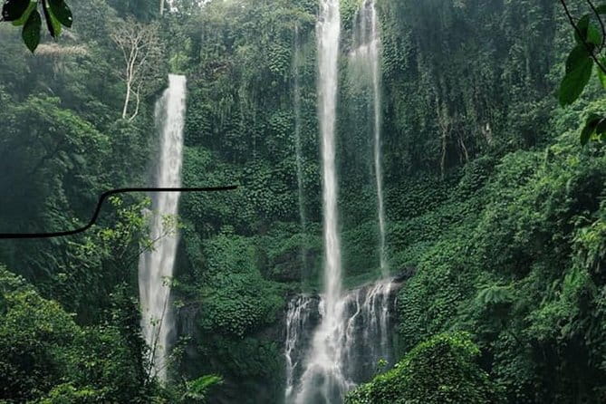 Bali Sekumpul with Fiji Waterfall & Bedugul Temple (Private Tour) - A Private Northern Bali Day That Actually Feels Private